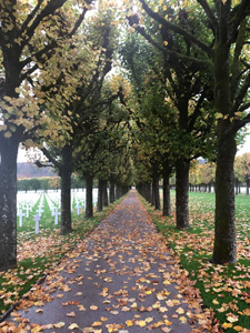 Graves Area - Fall - Photos by Bruce Malone, Director of Cemetery photo